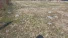 Somogy megye - Balatonmáriafürdő