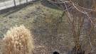 Somogy megye - Balatonmáriafürdő