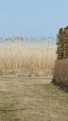 Somogy megye - Balatonmáriafürdő
